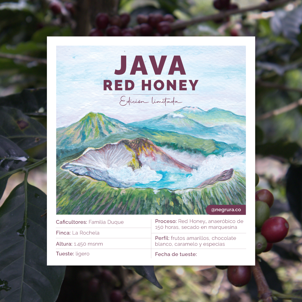 Negrura - Café de origen - Java Red Honey