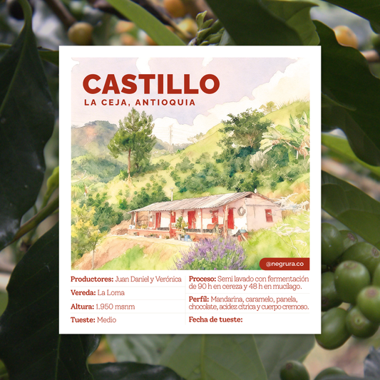 Negrura - Café de Origen - La Ceja, Antioquia